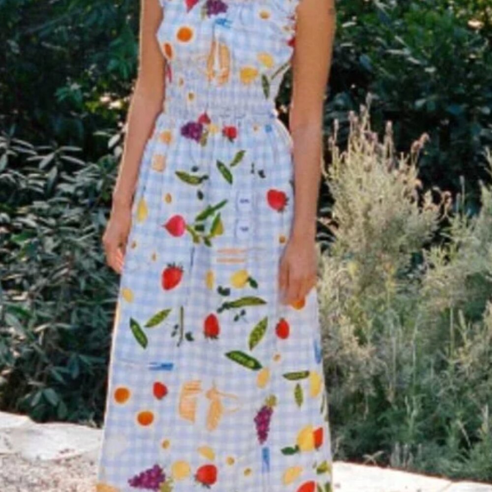 Lisa Says Gah Picnic Alfresco Piglet in Bed Annie Gingham Dress NWT Size Large